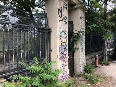 Graffiti, shrubs, ferns, gates and green mesh on Iraklion Avenue.